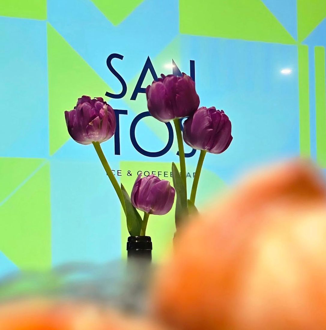 Santos Salon